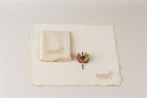 חבילת לידה: שמיכה, חיתול, מגבון, אריזת הנקה, 3 תחבושות לאחר לידה