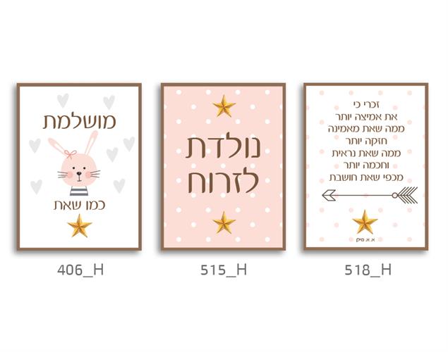 סט של 3 תמונות לחדר ילדים בנות  43H