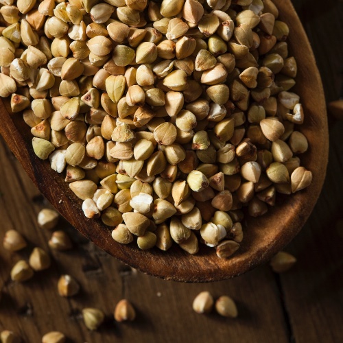 כוסמת ירוקה