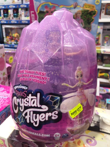 האצימלס פיקסיס מעופפת