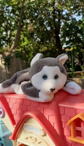 בובת זאב לבן של ty, קוראים לו נאנוק Nanook ,