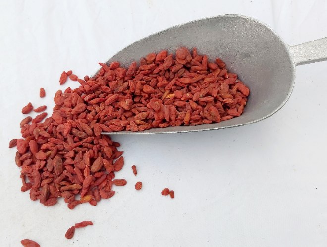 גוג'י ברי 500 גרם