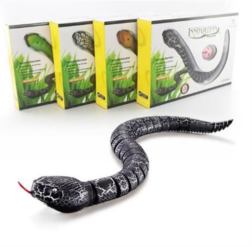 נחש על שלט רחוק