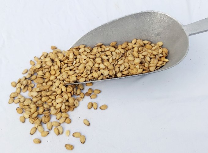 גרעין אבטיח קלוי במלח 500 גרם