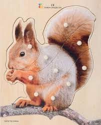 פאזל כפתור עץ סנאי