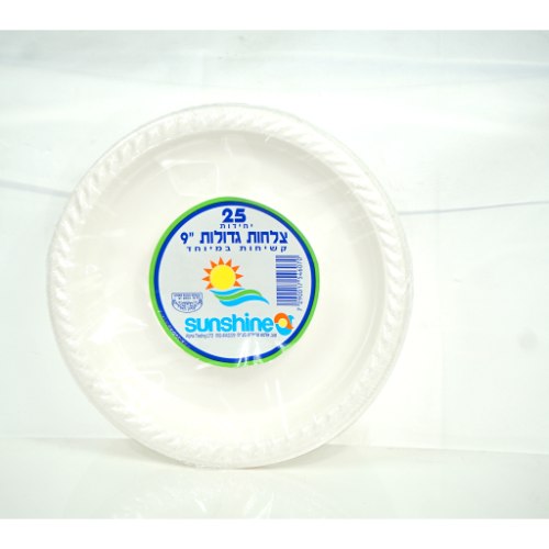 צלחת 9 9 גר' צבעוני 25X40