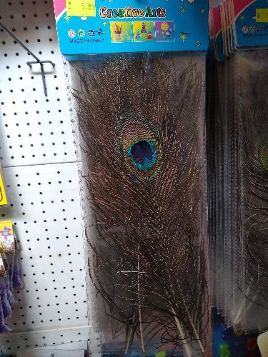 2 נוצות טווס