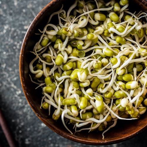 זרעי מאש להנבטה ( נבטים סיניים ) - 250 גרם