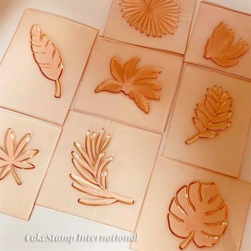 סט חותמות שמונה עלים טרופים