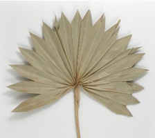 סט של מניפה מחודדת גדול וקטן לקישוט| תבנית מניפות דגם מחטים 2021 חדש מאתי דבש