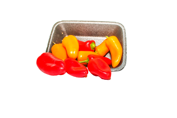 פלפלון טינקרבל