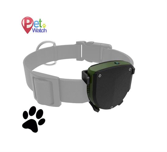 PetWatch Basic - קולר איתור