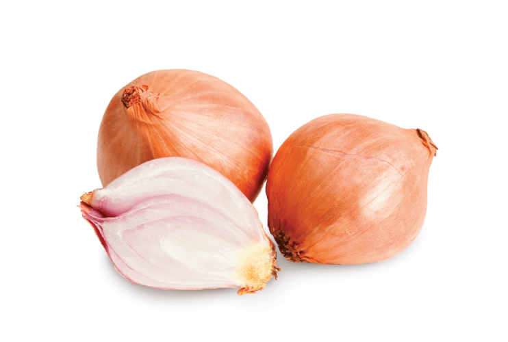 בצלצלי שאלוט ארוז