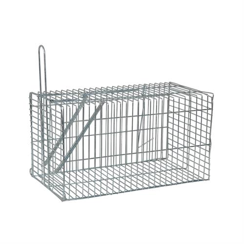 מלכודת רשת מקצועית לחולדות