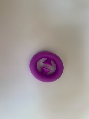 ביגלה פידגיט טויס