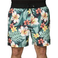HURLEY PHTM CABANA VOLLEY 17'