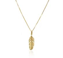 שרשרת ותליון זהב לגבר נוצה