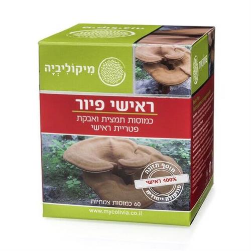 ראישי פיור - REISHI PURE
