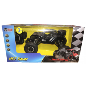 מכונית באגי על שלט