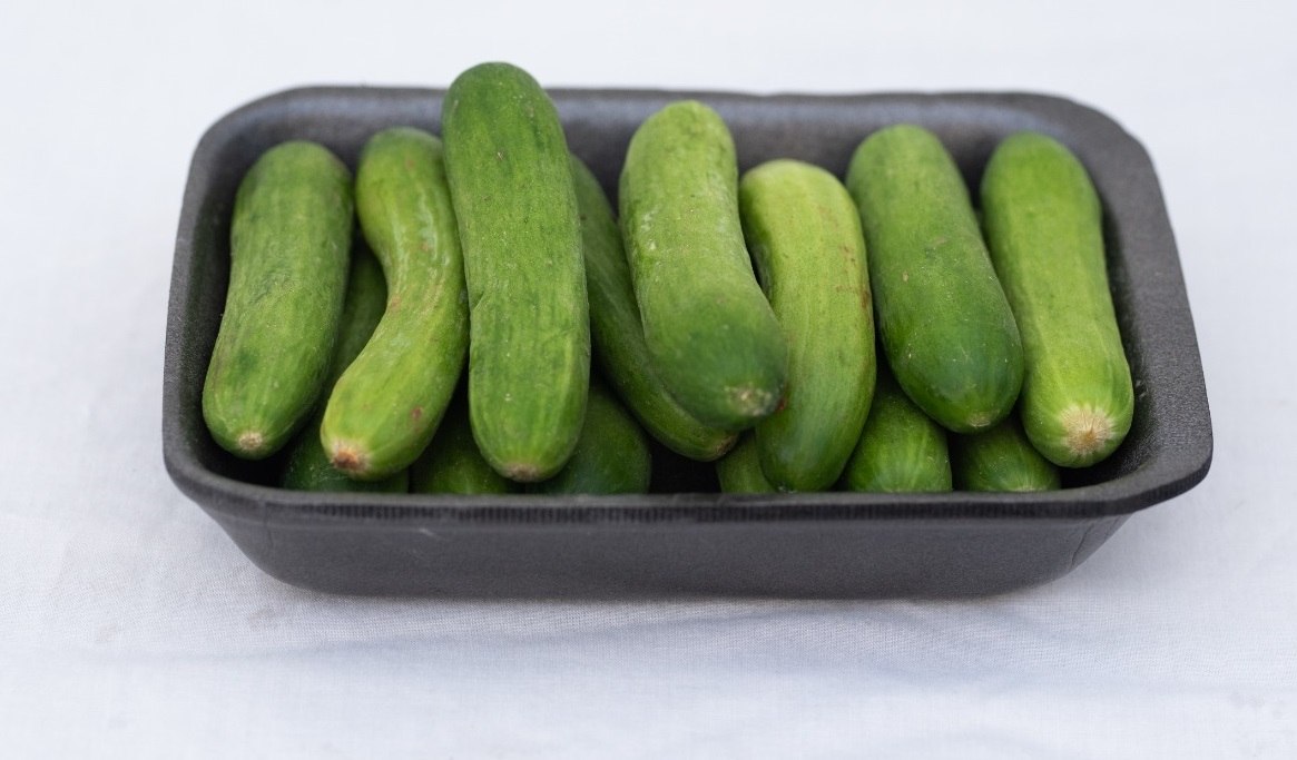 מלפפון בייבי במארז