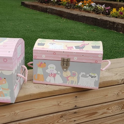 תיבת אחסון ורודה איורים - קטנה