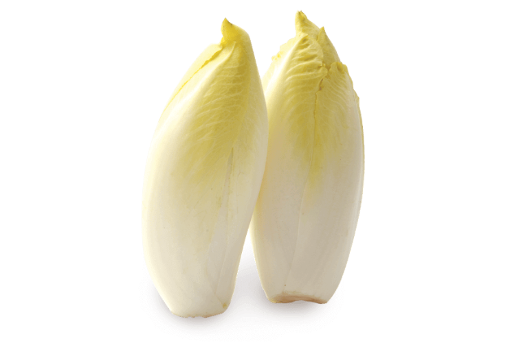 אנדיב (עולש)