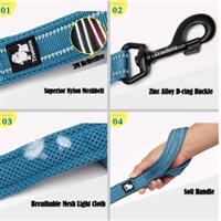 רצועת כלב מוארת