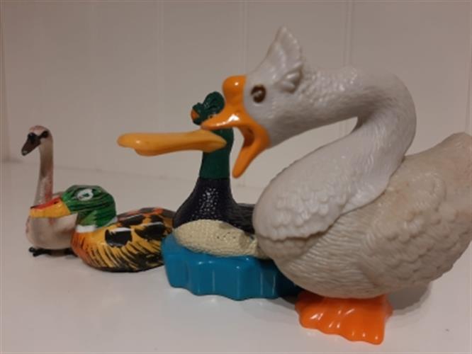 חיות למשחק, ברווז, אווז, ברבור וברווזן