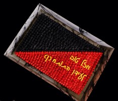 צבע אדום RED על בסיס שמן | קולור מיל | יבוא אתי דבש | צבע על בסיס שמן | כשר חדש אתי דבש