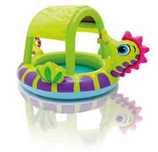 בריכת סוס ים עם גגון לתינוקות