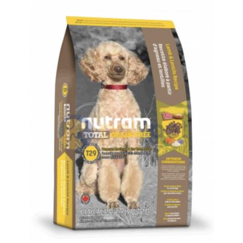 נוטרם לכלב מגזע קטן כבש ועדשים ללא דגנים t29