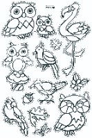 מדבקות חלון - ינשופים (603 A+B)