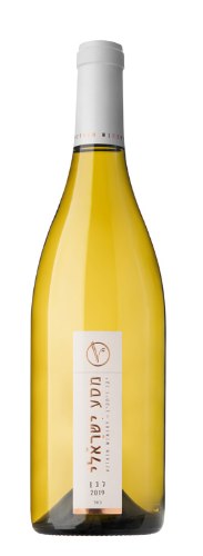 ויתקין מסע ישראלי לבן