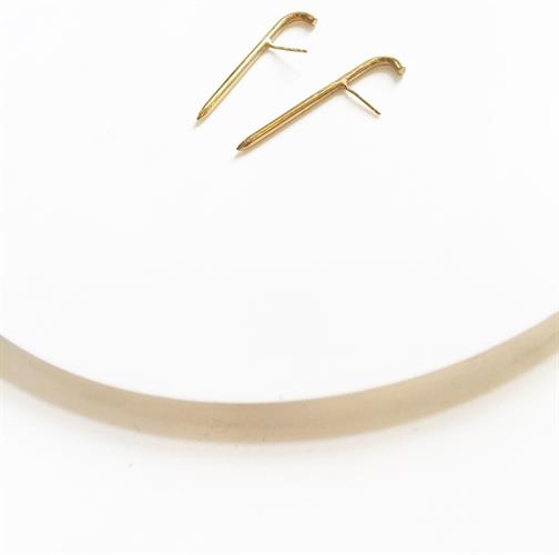 עגילי הוק זהב