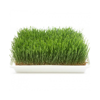 מארז מנבטות חממה מודולרי 3 קומות