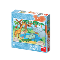 מגוון פאזלי רצפה