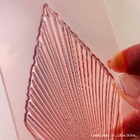 סט מניפה ענקית ארוכה ובינונית ארוכה ליצירה בשוקולד | עלה טרופי מחודד מניפות לשוקולד | אתי דבש 2021