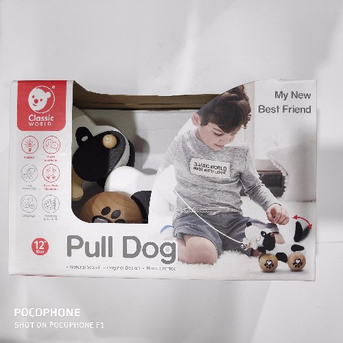 כלב השחלה ומשיכה