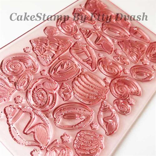 צדפים - משטח טקסטורה