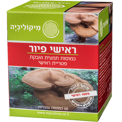 -- ראישי פיור - REISHI PURE -- מכיל 60 כמוסות צמחיות HPMC, מיקוליביה
