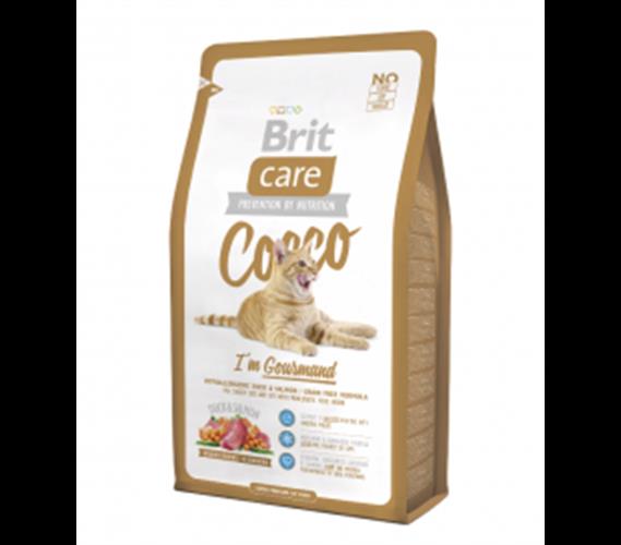 בריט קר חתולים בררניים