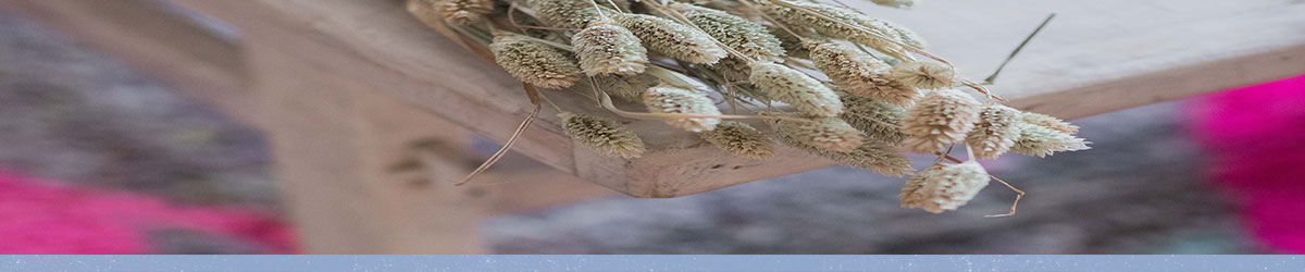 שטיחים - פנטזיה מרוקאית