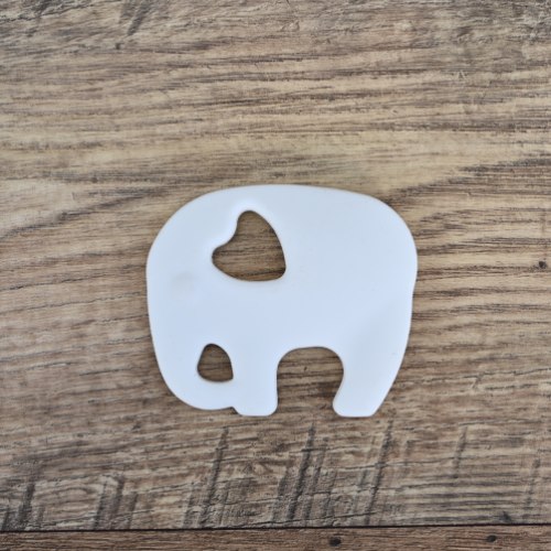 נשכן פיל לבן