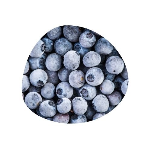 אוכמניות כחולות קפואות 1 קילו