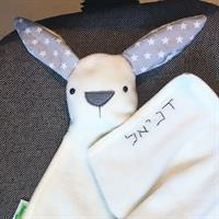 הוספת שם למוצר קיים