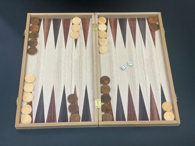 שש בש מקצועי