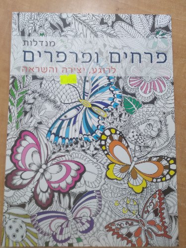 חוברת צביעה מנדלות