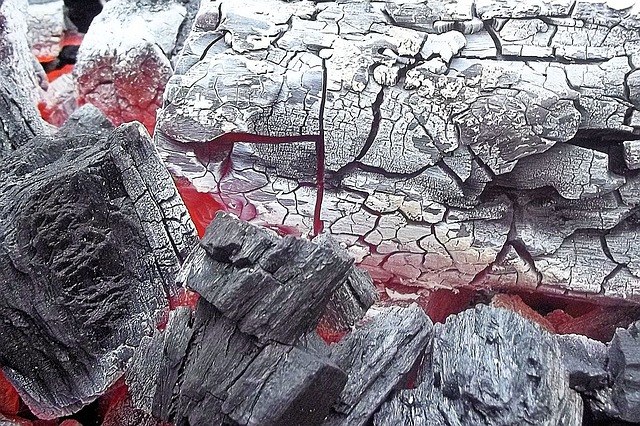פחם למעשנה ברמה גבוהה ביותר -  פאלו סנטו פחמים GRILL - שק של 15 ק"ג