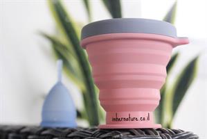 סטריליזטור אוניברסלי לגביעונית