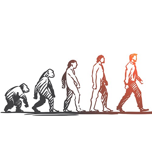 מבוא לאבולוציה של האדם | מרצה: רונה שולמן | 5 מפגשים | 5 שעות